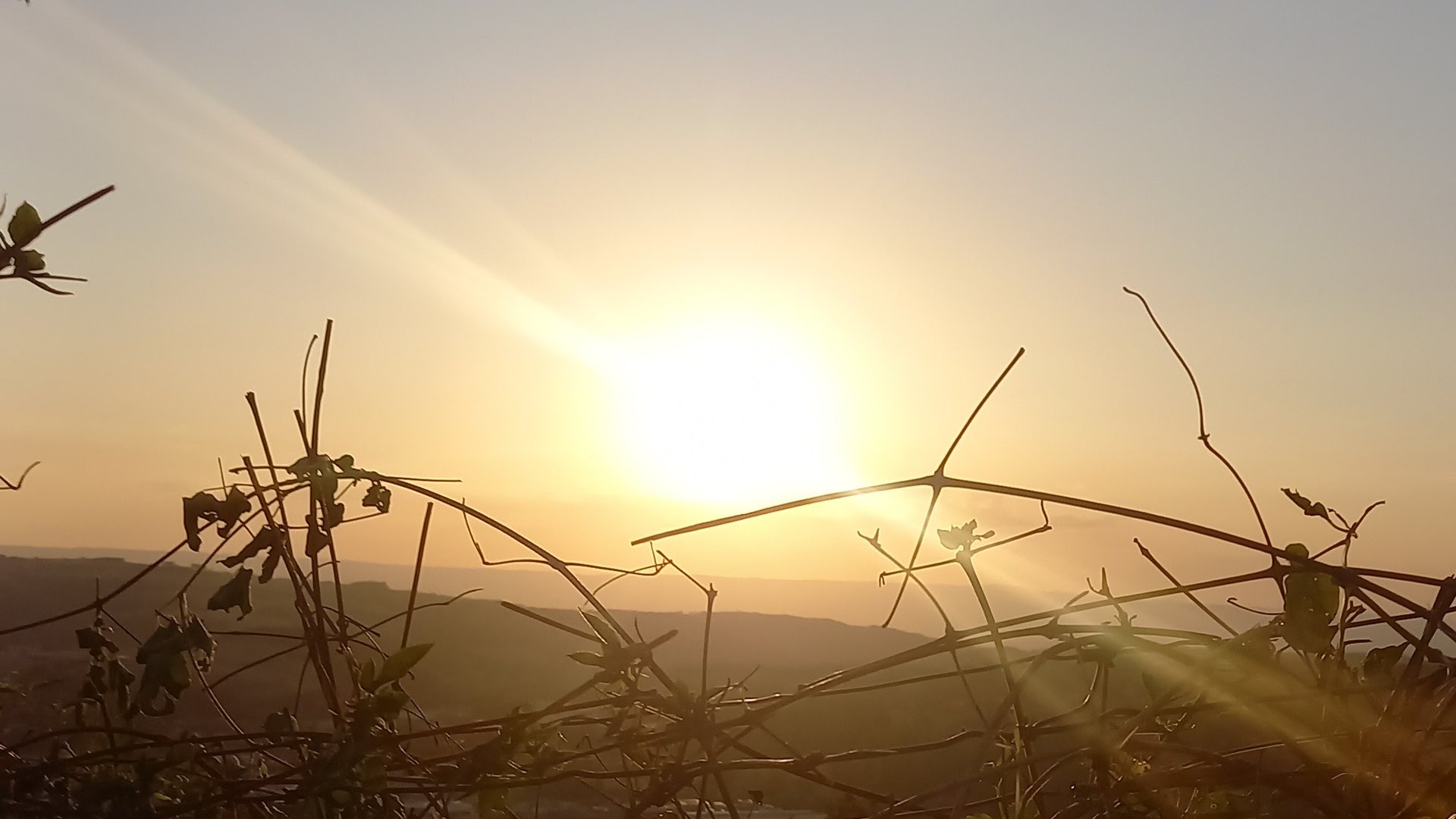 Le Soleil partiellement éclipsé au-dessus de l'horizon, le 12 août 2026 depuis le Crêt de Saint-Priest-en-Jarez